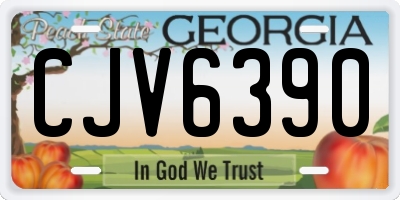 GA license plate CJV6390
