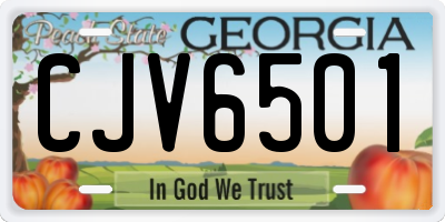 GA license plate CJV6501