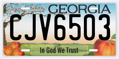 GA license plate CJV6503
