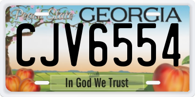 GA license plate CJV6554