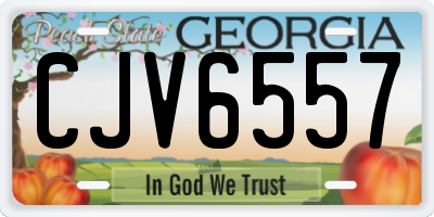 GA license plate CJV6557