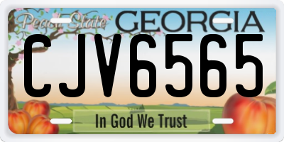 GA license plate CJV6565