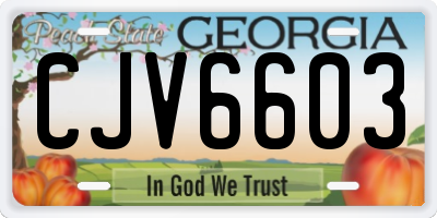 GA license plate CJV6603