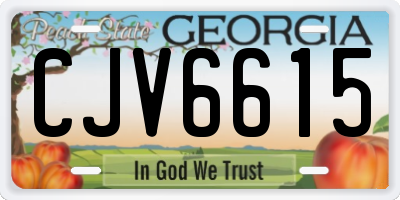 GA license plate CJV6615
