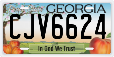 GA license plate CJV6624