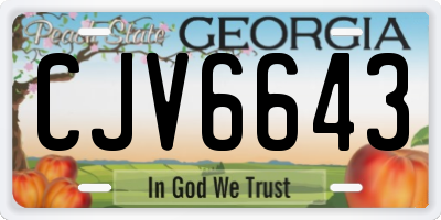 GA license plate CJV6643