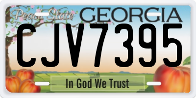 GA license plate CJV7395