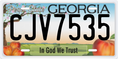 GA license plate CJV7535