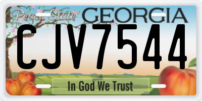 GA license plate CJV7544