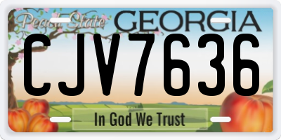 GA license plate CJV7636