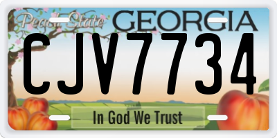 GA license plate CJV7734