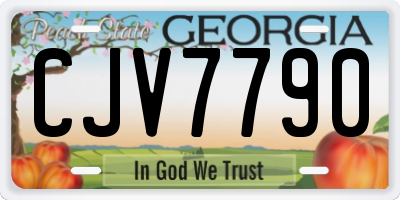 GA license plate CJV7790