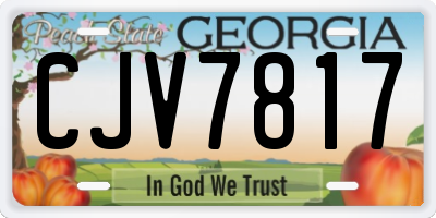 GA license plate CJV7817