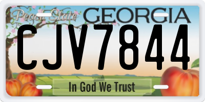 GA license plate CJV7844