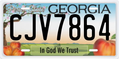 GA license plate CJV7864