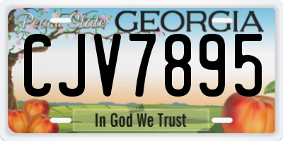 GA license plate CJV7895