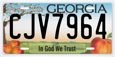 GA license plate CJV7964