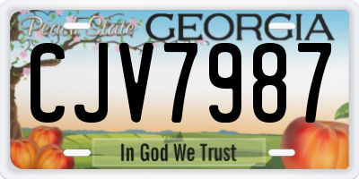 GA license plate CJV7987