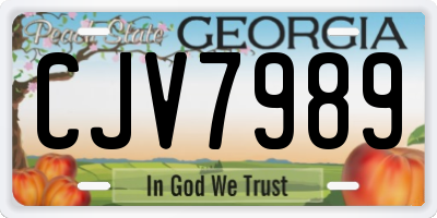 GA license plate CJV7989