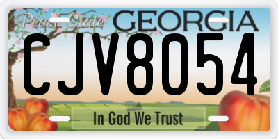 GA license plate CJV8054