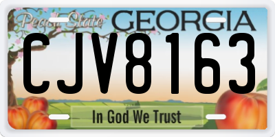 GA license plate CJV8163