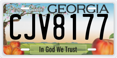 GA license plate CJV8177