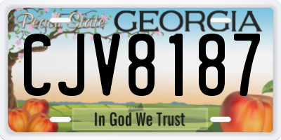 GA license plate CJV8187