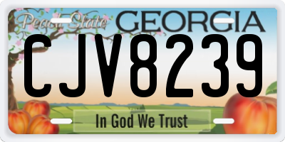 GA license plate CJV8239
