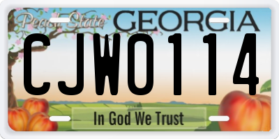 GA license plate CJW0114