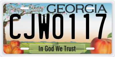 GA license plate CJW0117