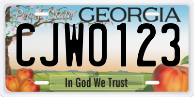 GA license plate CJW0123
