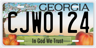 GA license plate CJW0124