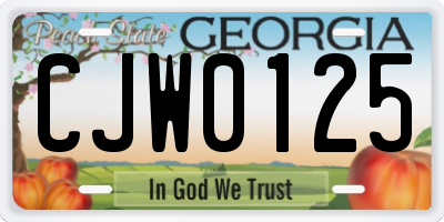 GA license plate CJW0125