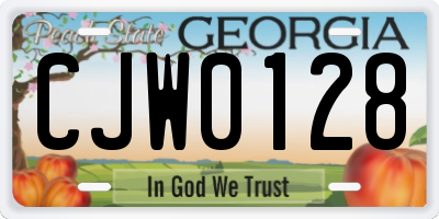 GA license plate CJW0128
