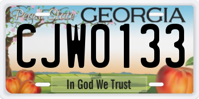 GA license plate CJW0133