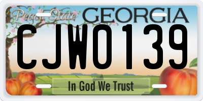 GA license plate CJW0139
