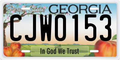GA license plate CJW0153