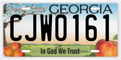 GA license plate CJW0161