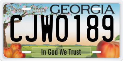 GA license plate CJW0189