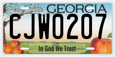GA license plate CJW0207