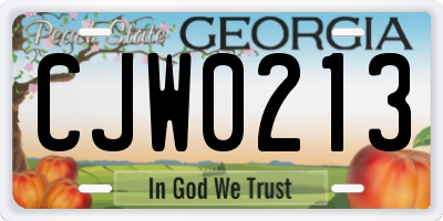 GA license plate CJW0213