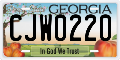 GA license plate CJW0220