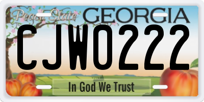 GA license plate CJW0222