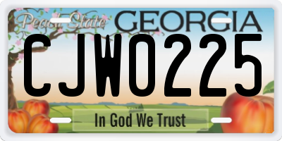GA license plate CJW0225