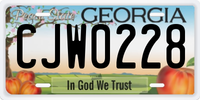 GA license plate CJW0228