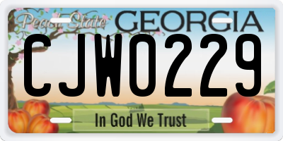 GA license plate CJW0229