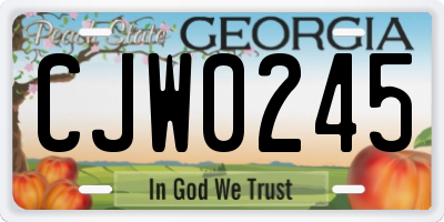 GA license plate CJW0245
