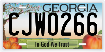 GA license plate CJW0266
