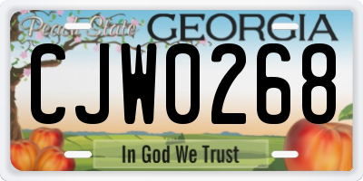 GA license plate CJW0268