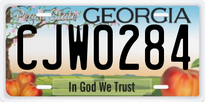 GA license plate CJW0284